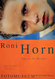 roni-horn.jpg