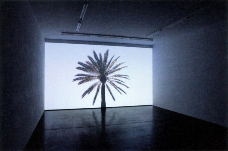<p>Cédric Eisenring: <em>Palm Tree</em>, Barcelona, 2010, HD-Video (2 min 56 sec)</p>