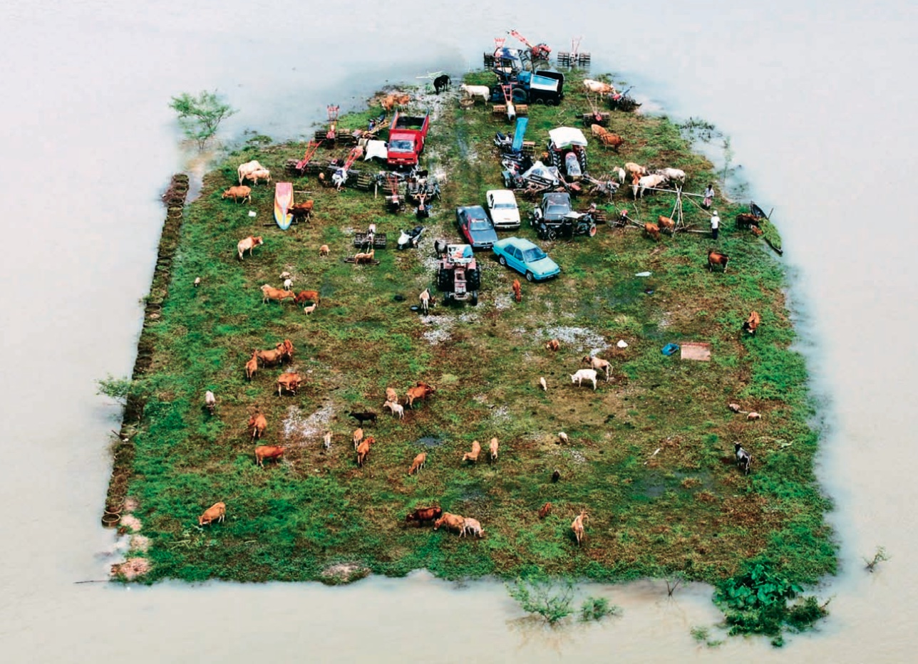 <p>Gestrandete Kühe und Fahrzeuge auf einem von Hochwasser umgebenen Stück Land: Jeram Perdas, rund 550 km nordöstlich von Kuala Lumpur, Malaysia, 8. November 2009</p>